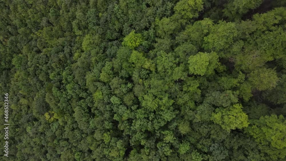 Slovenia Misty Mountain Landscape Aerial Drone 16.mp4 Slovenia Misty Mountain Landscape Aerial Drone 16.mp4