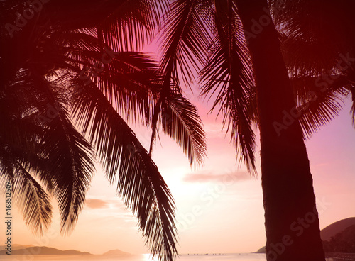 Sunset or sunrise skies and palm tree leaves silhoutte in the sea landscape. Beautiful sunset beach . Romantic summer holiday and vacation concept for tourism.