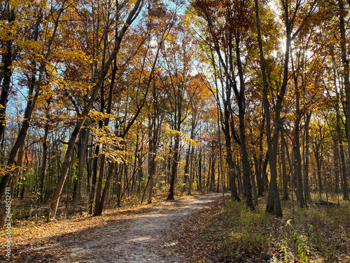 Winding trail in Cook County Forest Preserve on a late autumn afternoon photo