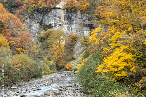 Autumn leaves in the Okususobana Valley