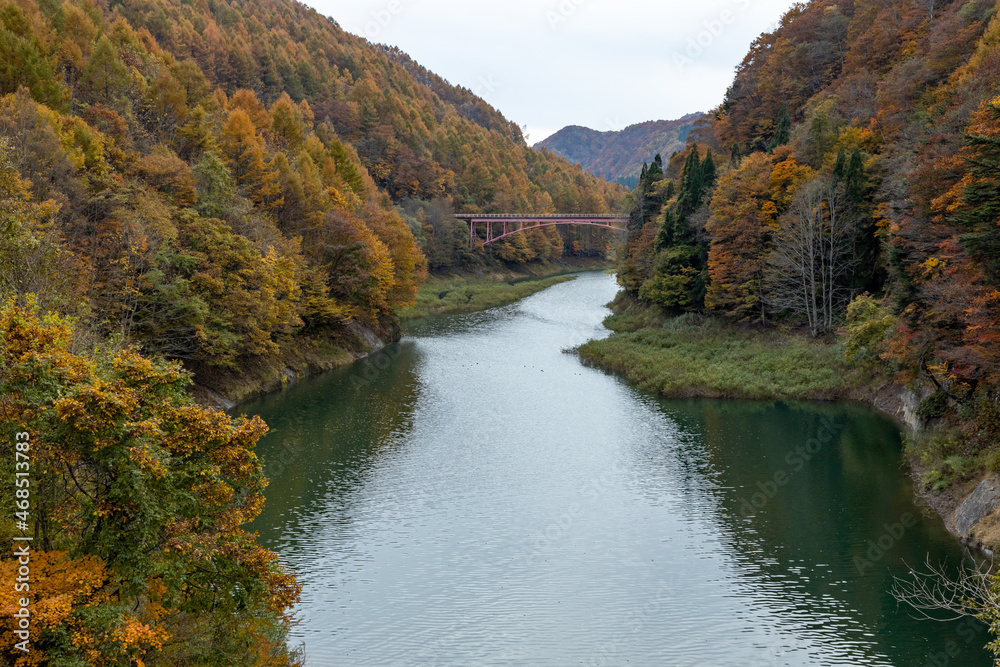 Autumn leaves in the Okususobana Valley