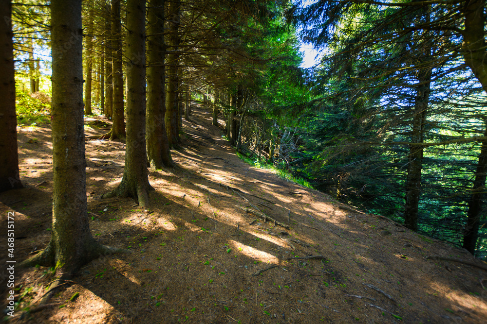 Fototapeta premium Footpath around the Lake Pavin in Auvergne