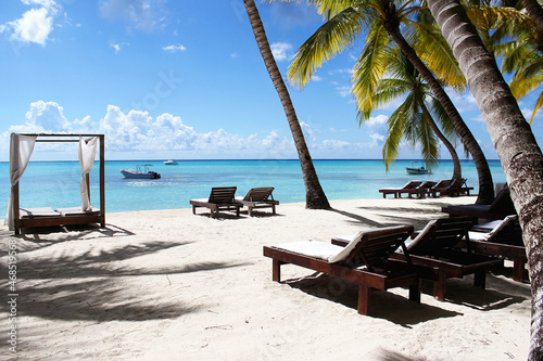 A beach with palm trees and white squeaks and sun beds for relaxing. Vacation at the sea. 