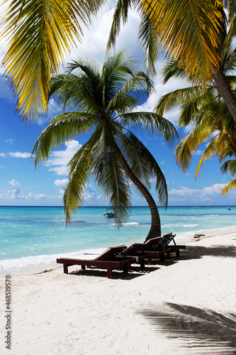 A beach with palm trees and white squeaks and sun beds for relaxing. Vacation at the sea. 