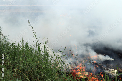 Close up of burning of stubble in paddy fields after harvesting © AJay