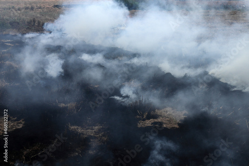 Close up of burning of stubble in paddy fields after harvesting