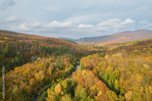 Colorful autumn view of the Caucasus mountains. Great view of the yellow trees.