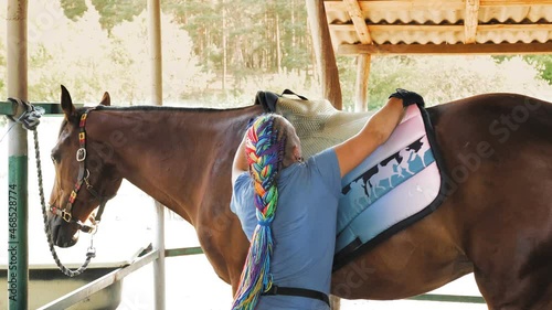 horse care. Horsewoman harnesses bay horse, prepares palfrey for horseback riding. Equitation. jockeyship. equestrianism. Equestrian sport. Horse riding.