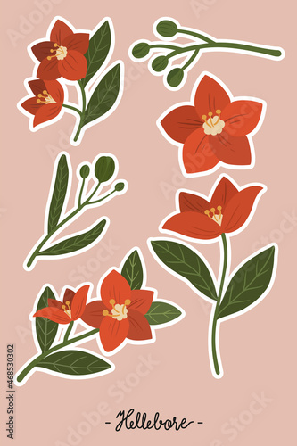 Red hellebore flower set vector
