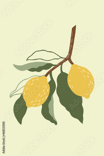Hand drawn lemon design resource vector