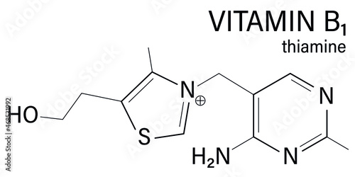 Vitamin B1 (thiamine) molecule. Skeletal formula.	

