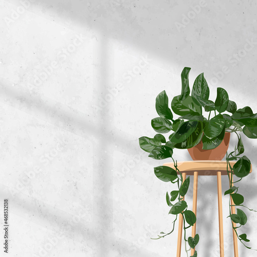 Indoor plant background aesthetic vector, hanging pothos white wall with natural light photo