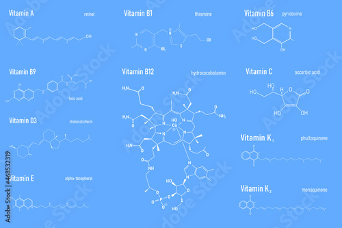 Vitamin Complex with Food B1, B6, B9, B12, K, A, E, C Label and Icon. Chemical Formula and Structure Logo. Vector Illustration. photo