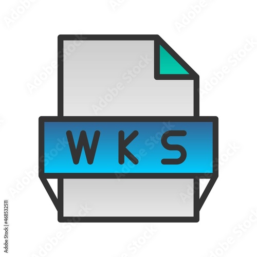 Wks Filled Gradient Vector Icon Design photo