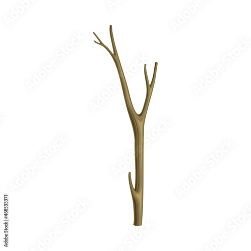 Bare Tree Branch or Twigs with Naked Stem and Snag Vector Illustration