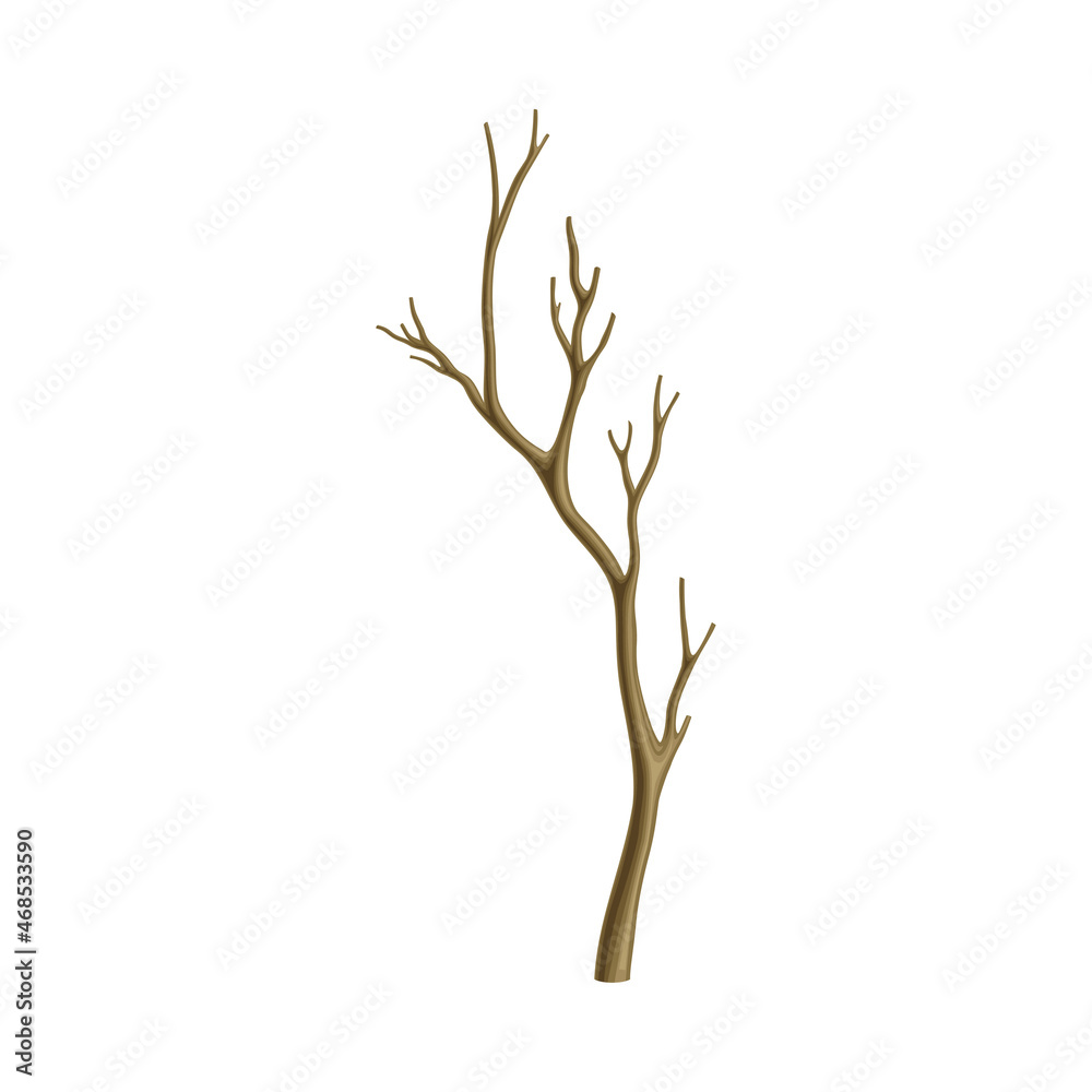 Bare Tree Branch or Twigs with Naked Stem and Snag Vector Illustration