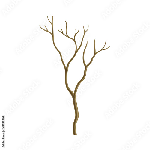 Bare Tree Branch or Twigs with Naked Stem and Snag Vector Illustration