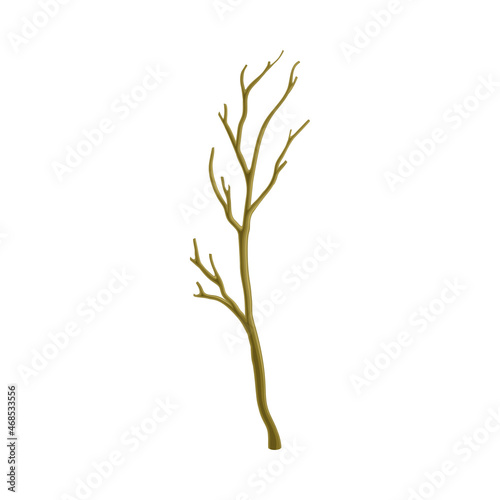 Bare Tree Branch or Twigs with Naked Stem and Snag Vector Illustration
