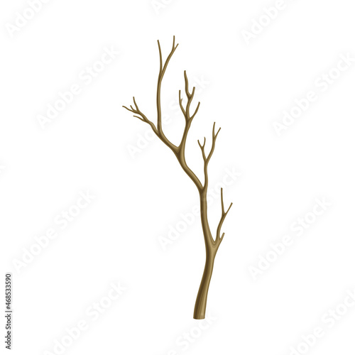 Bare Tree Branch or Twigs with Naked Stem and Snag Vector Illustration