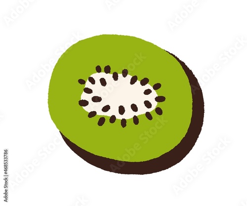 Kiwi, cut half of fresh fruit with green flesh and seeds. Top view of tropical kiwifruit piece drawn in doodle style. Exotic food icon. Flat vector illustration isolated on white background
