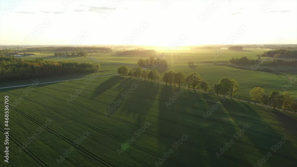 Drone fly above field at summer evening sunset Drone fly above field at summer evening sunset