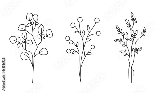 Stylized bouquet. A set of plants. Vector illustration for postcards  notebooks  stickers  design. Doodle style hand-drawn by an outline.