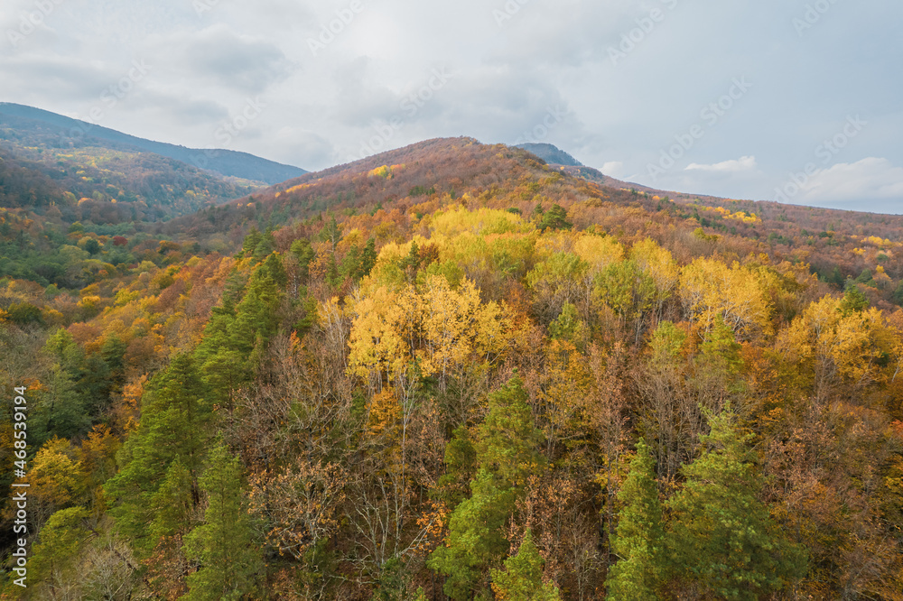 Colorful autumn view of the Caucasus mountains. Great view of the yellow trees.