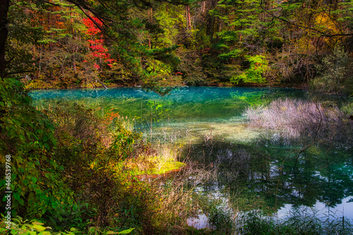 紅葉に彩られたエメラルドグリーンの沼が美しい、福島の裏磐梯・五色沼