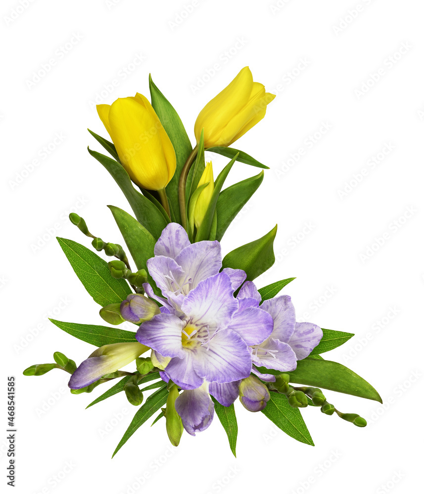 Purple freesia flowers and yellow tulips in a corner floral arrangement isolated on white