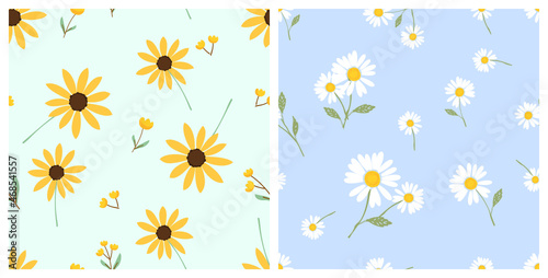 Seamless patterns with daisy flower on green and blue backgrounds vector.