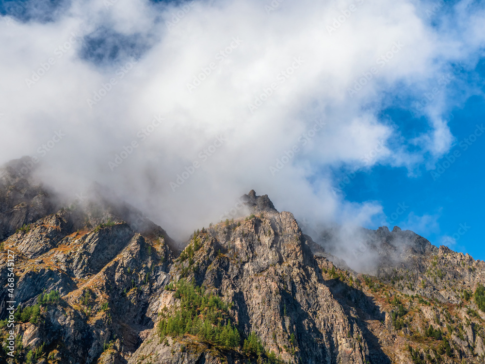 Mountain landscape, beautiful view of the picturesque gorge in clouds, cloudy weather, the nature of the mountain Altai. Above the clouds. View from the top of the mountain. Fog in the mountains