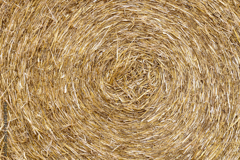 Closeup of a Yellow Round Straw Bale background. Copy space fro your text. Closeup of a Yellow Round Straw Bale background. Copy space fro your text.
