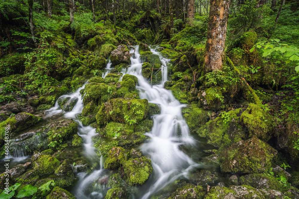 Stream in forest in Ramsau Berchtesgaden Bavaria, Germany, Europe