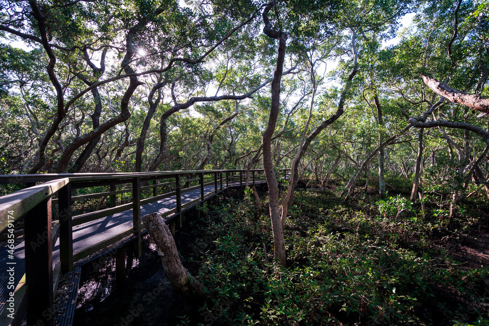 Wynnum Mangrove Boardwalk in Brisbane, Queensland, Australia Wynnum Mangrove Boardwalk in Brisbane, Queensland, Australia