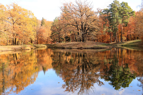 Goldener Herbsttag im Park Branitz (Schlangensee)