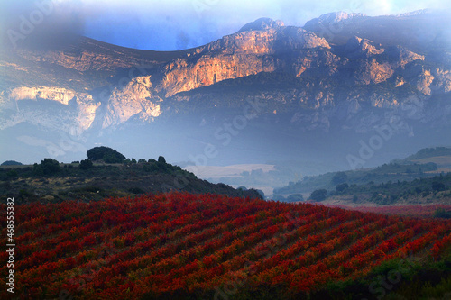 Viñedos durante el Otoño en la zona de Leza-Navaridas, La Rioja Alavesa