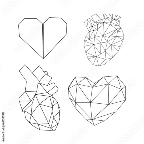 internal organs origami: low poly, triangles