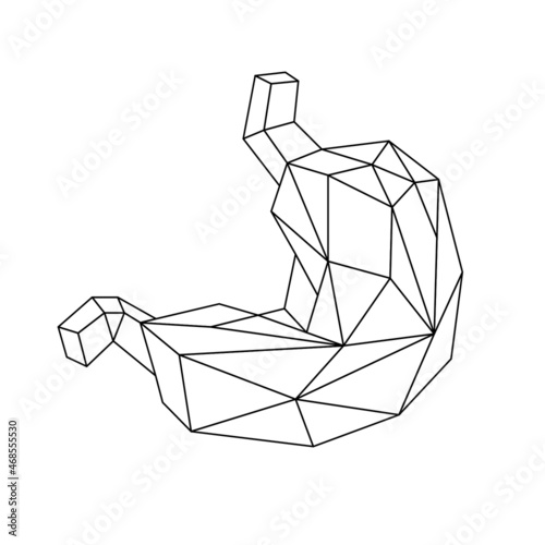 internal organs origami: low poly, triangles