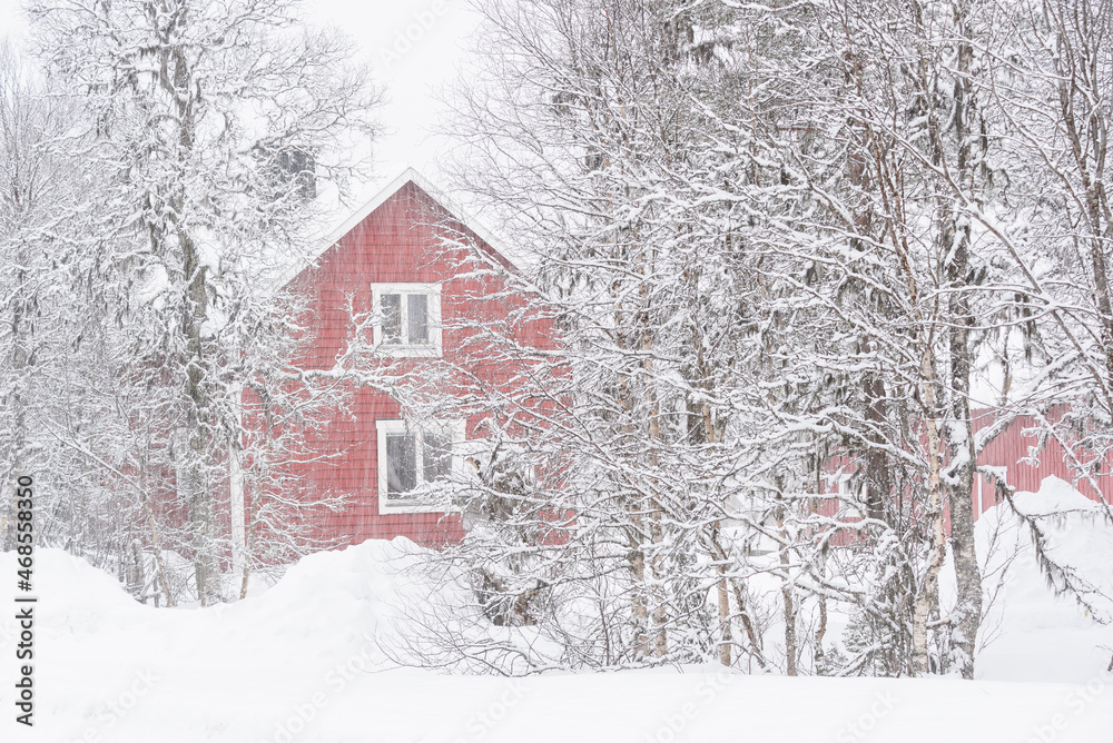 Naklejka premium Red house in forest during snowfall