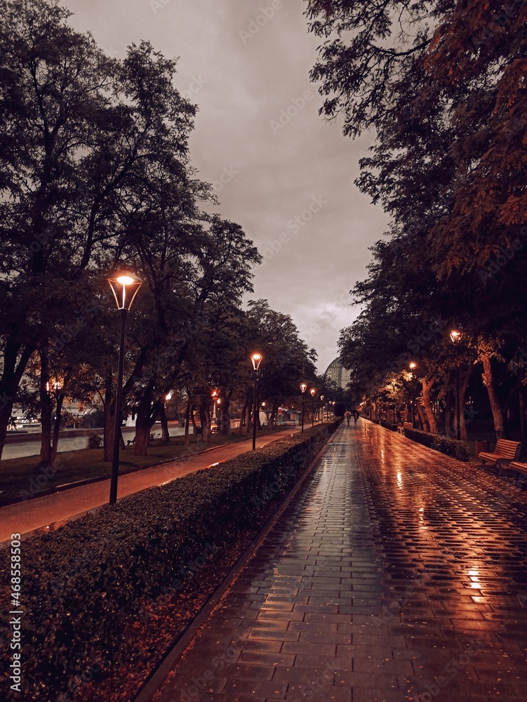 Obraz premium sunset in the park