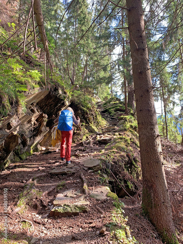 Hiking trail E5 Meraner Höhenweg South Tyrol