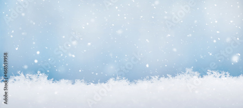 Panoramic Nature Winter Christmas Header Background