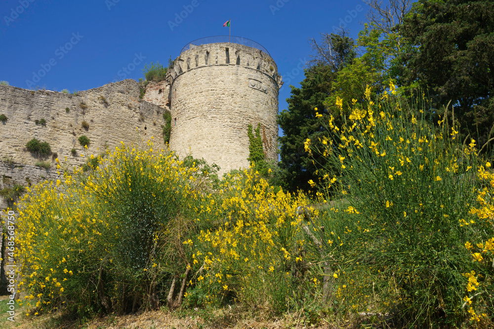 Castrocaro Terme, Forli province: medieval castle
