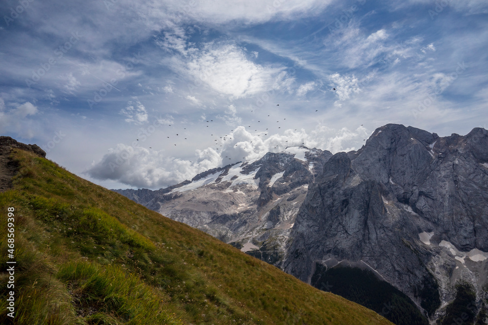 Flying birds with the Marmolada massif in the background. Dolomites. Italy.