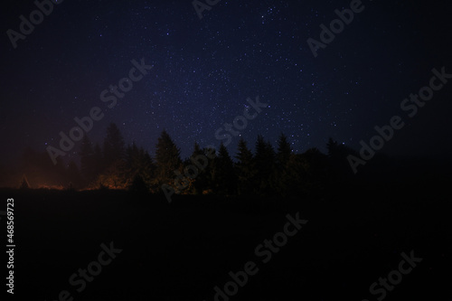 Beautiful view of dark forest under starry sky at night