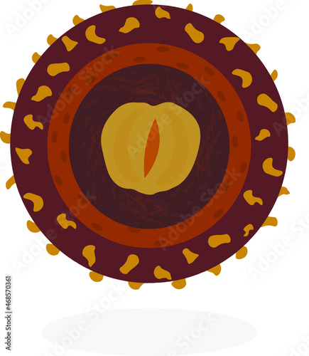 rounded chocolate candy with crushed nuts and nut butter and cream and thin waffle 