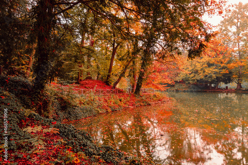 Fototapeta Naklejka Na Ścianę i Meble -  Lake in the Monza park during the autumn foliage