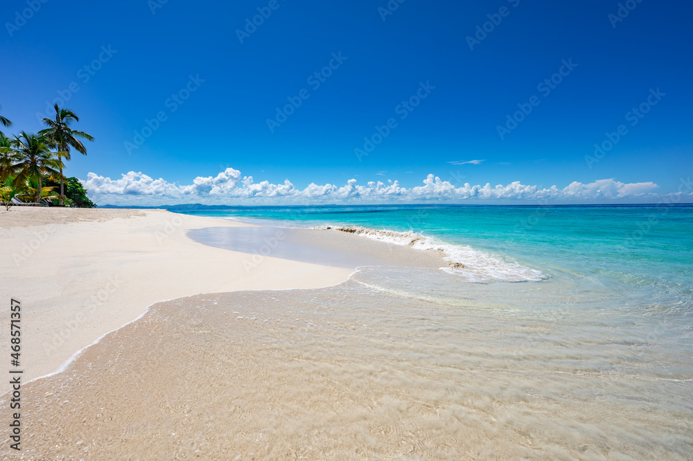 Fototapeta premium Palm Ocean Sky Paradise