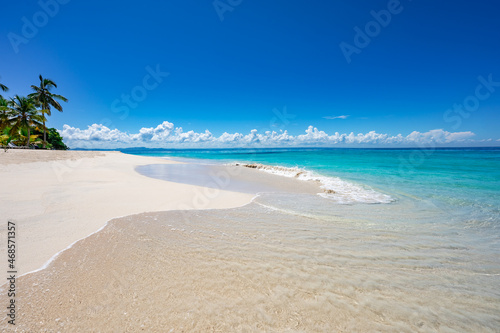 Palm Ocean Sky Paradise