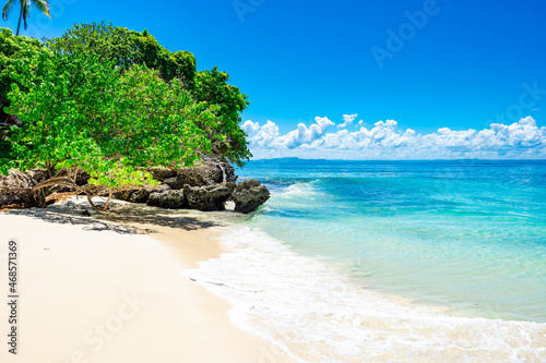 Fototapeta Naklejka Na Ścianę i Meble -  paradise tropical beach Dominican Caribbean
